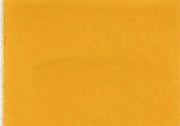 2005 Chrysler Classic Yellow